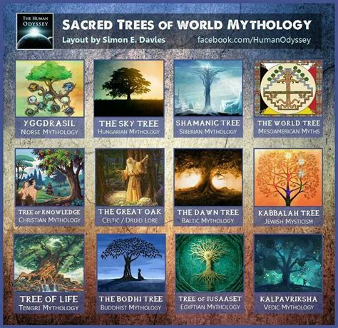 A study of the tree of life and its magical properties